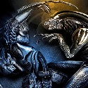alien_vs_predator