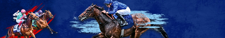 boylesports horse racing