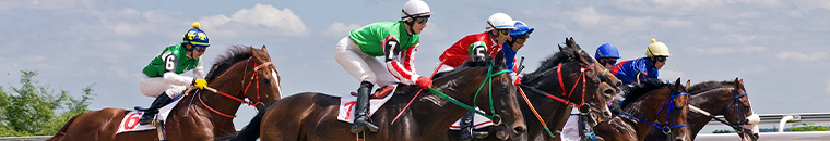 best horse racing sites in india online