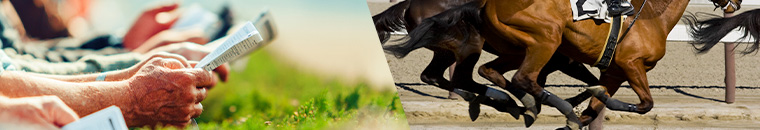 how to bet on horse racing india