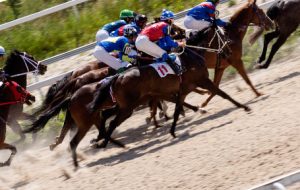 carreras de caballos apuestas