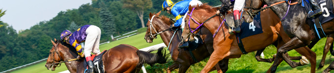 Betting on Horse Racing in India