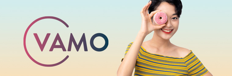 Loans offered by Vamo